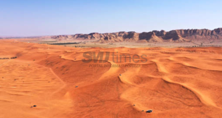 Strategi Iklim Negara Arab: Impor Jutaan Pohon per Tahun di Tengah Pesatnya Kota Besar