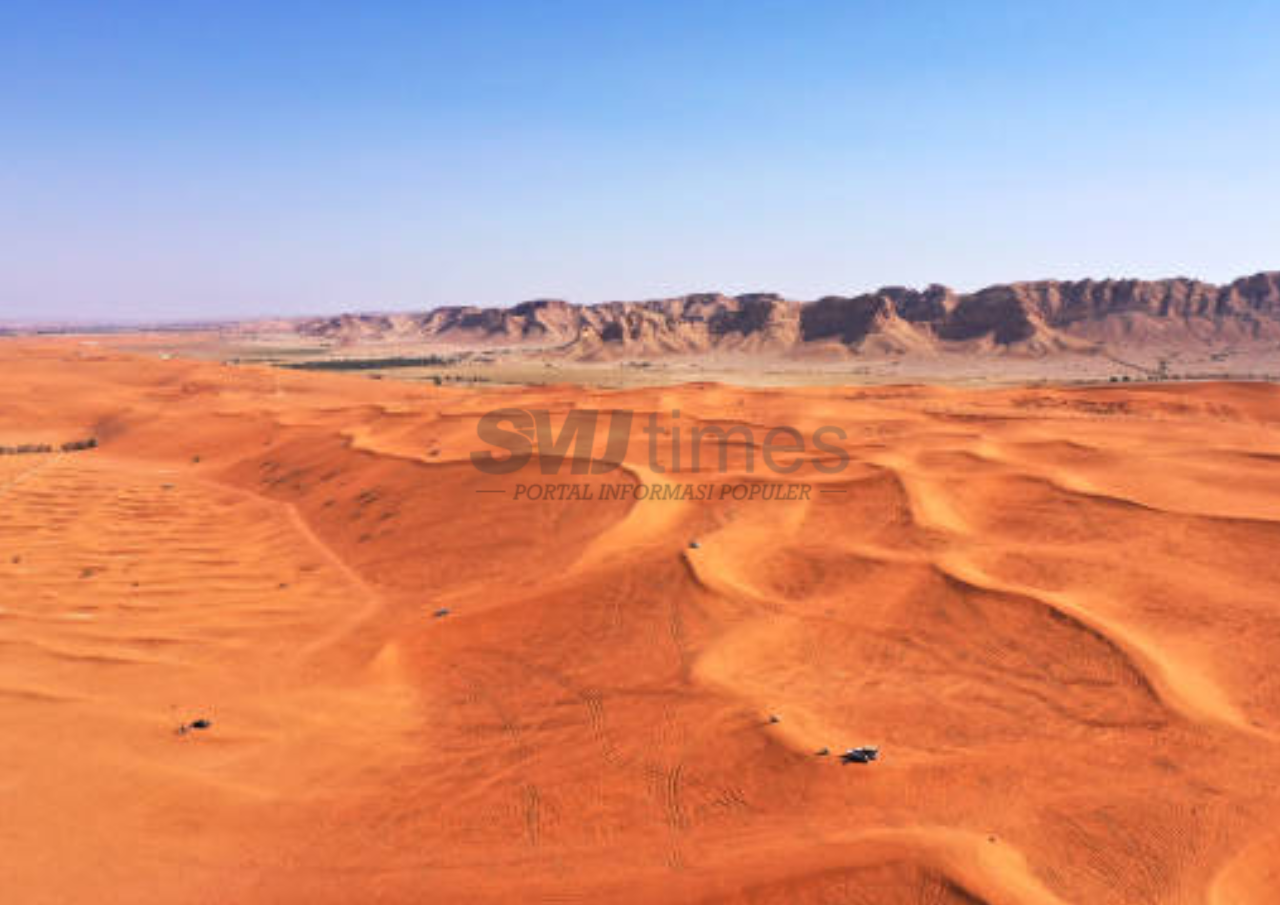 Strategi Iklim Negara Arab: Impor Jutaan Pohon per Tahun di Tengah Pesatnya Kota Besar