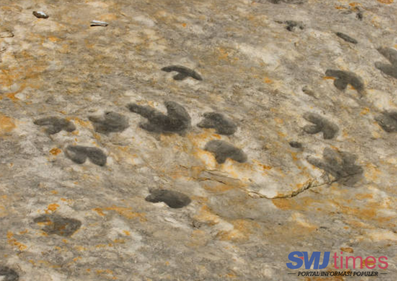 Ilmuwan Temukan Jejak Kaki Dinosaurus Sepanjang 1,25 Meter di Langit-Langit Gua di Prancis