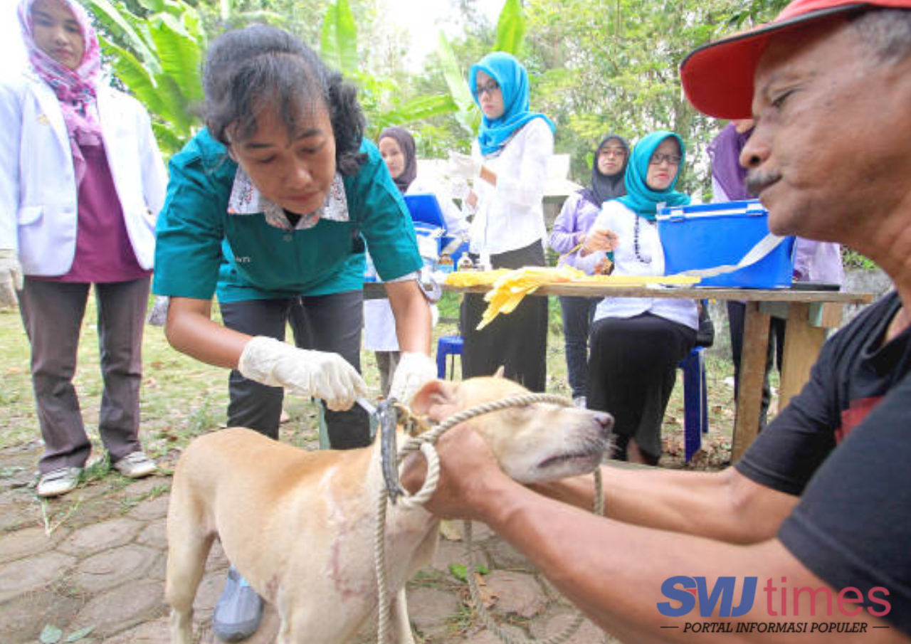 Dinkes Mukomuko Lakukan Penanganan Atas 47 Kasus Gigitan Hewan Penular Rabies Sepanjang 2026