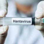 Jadi Penumpang Kapal Pesiar yang Terdampak Hantavirus, 2 Warga Singapura Jalani Isolasi
