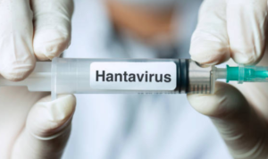 Jadi Penumpang Kapal Pesiar yang Terdampak Hantavirus, 2 Warga Singapura Jalani Isolasi
