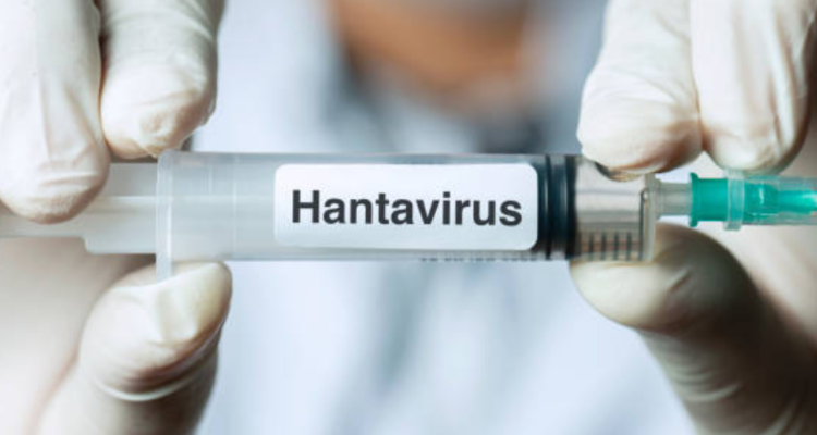 Jadi Penumpang Kapal Pesiar yang Terdampak Hantavirus, 2 Warga Singapura Jalani Isolasi