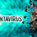 Dinkes Ungkap Temuan 4 Kasus Hantavirus di DKI Jakarta, Satu Orang Dinyatakan Suspek