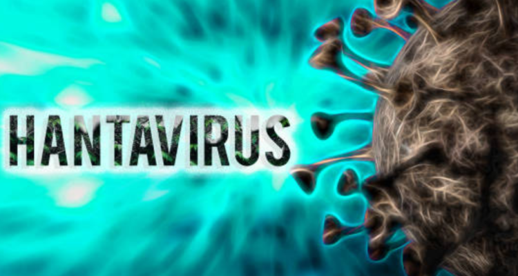 Dinkes Ungkap Temuan 4 Kasus Hantavirus di DKI Jakarta, Satu Orang Dinyatakan Suspek