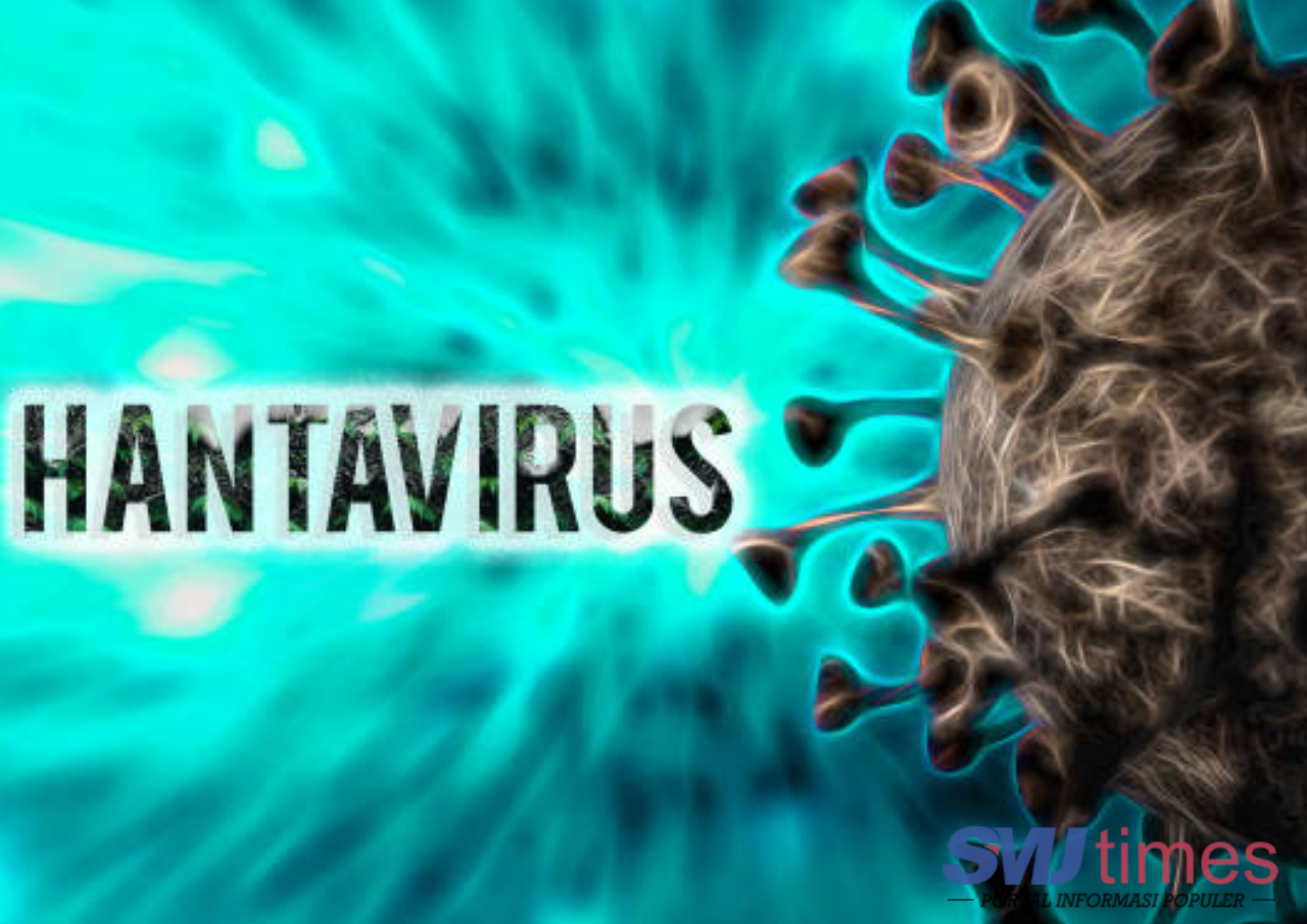 Dinkes Ungkap Temuan 4 Kasus Hantavirus di DKI Jakarta, Satu Orang Dinyatakan Suspek